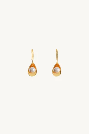 Lustrous Gold Earrings